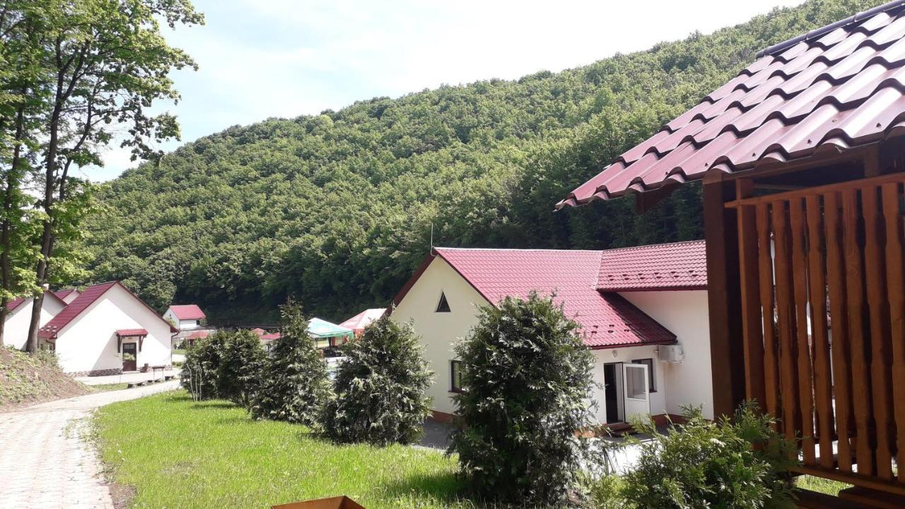 Mishyn-City Hotel Dobrovlyany Buitenkant foto