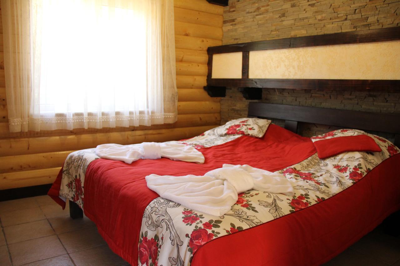 Mishyn-City Hotel Dobrovlyany Buitenkant foto
